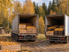 Две фуры лисичек отправили из Владимирской области в Беларусь
