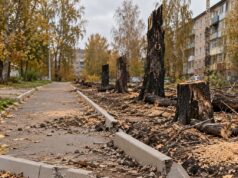 Тротуар во Владимире изуродовали, несмотря на пророчества жителей