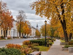Во Владимире 9 октября пройдет общегородской субботник